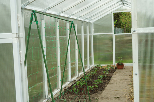 Siatka PLANT NET 8g/ m2 , 15 x 17cm, 2 x 10m 3