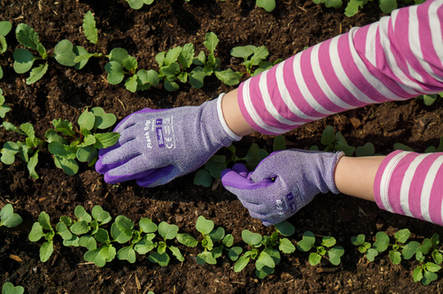 Rękawice ochronne FLASH GRIP LAVENDER, rozmiar 6 3