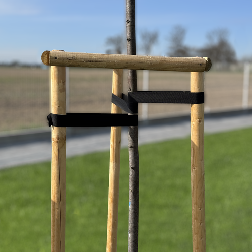 Taśma do stabilizacji drzew TREE SUPPORT 25 mm x 25 m  3