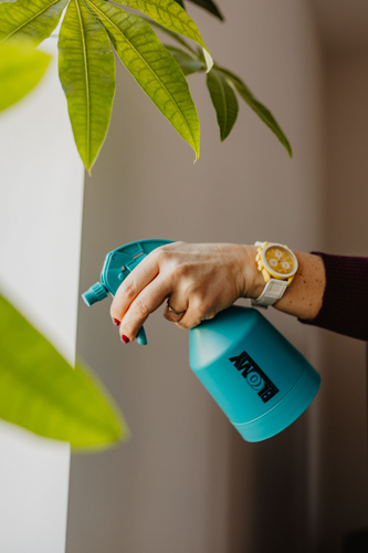 Opryskiwacz ręczny BLOOMY 0,5 L 16