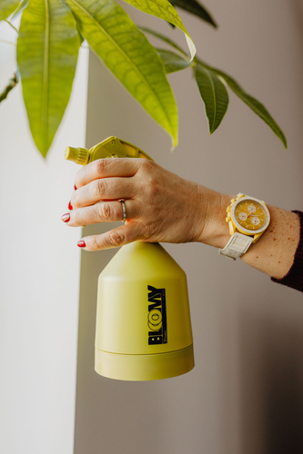 Opryskiwacz ręczny BLOOMY 0,5 L 17
