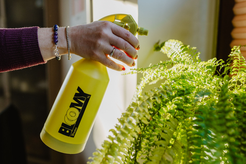 Opryskiwacz ręczny BLOOMY 1 L 15