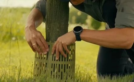 5 NARZĘDZI OGRODOWYCH, KTÓRE UŁATWIĄ PIELĘGNACJĘ TWOJEGO OGRODU.